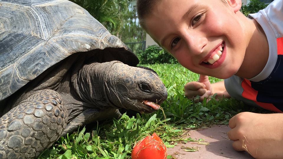 Aldabra Breeders