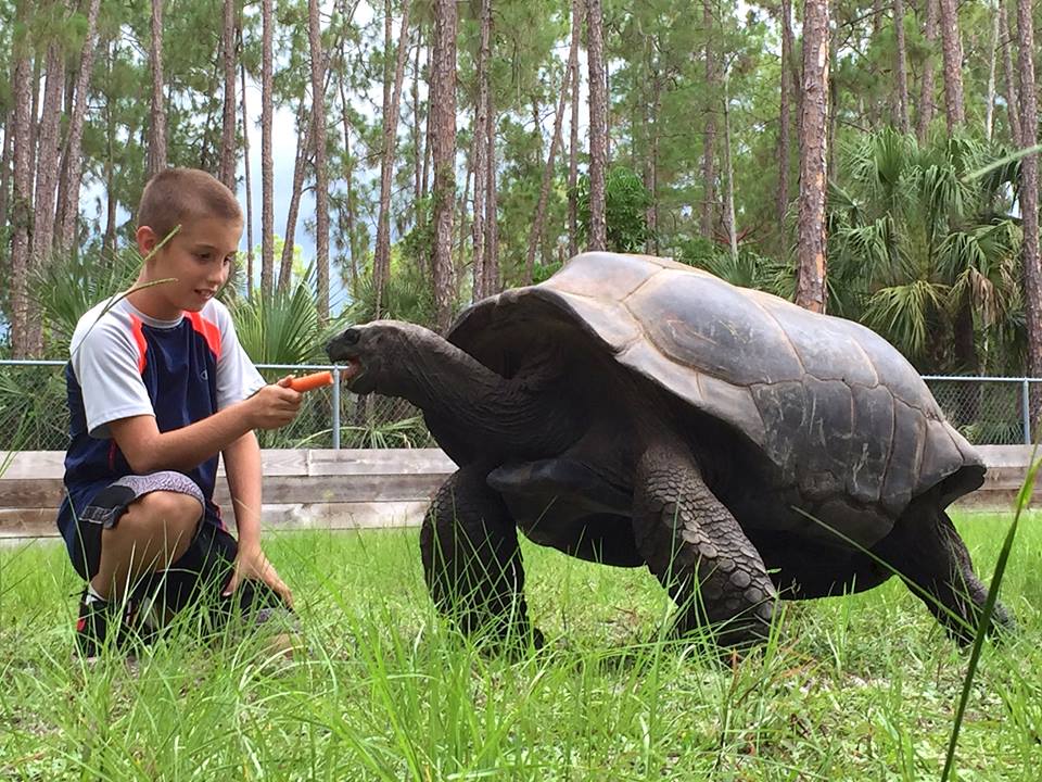 Aldabra Breeders