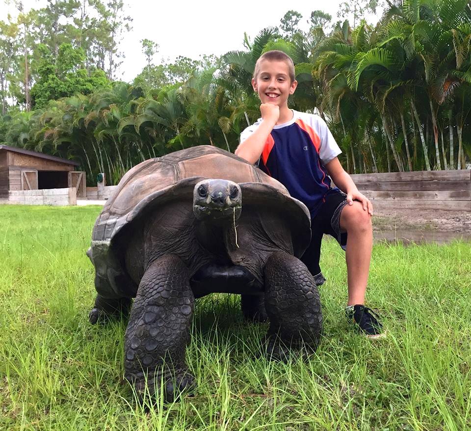 Aldabra Breeders