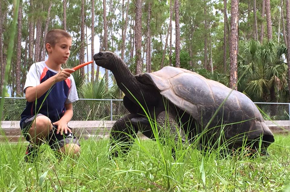 Aldabra Breeders