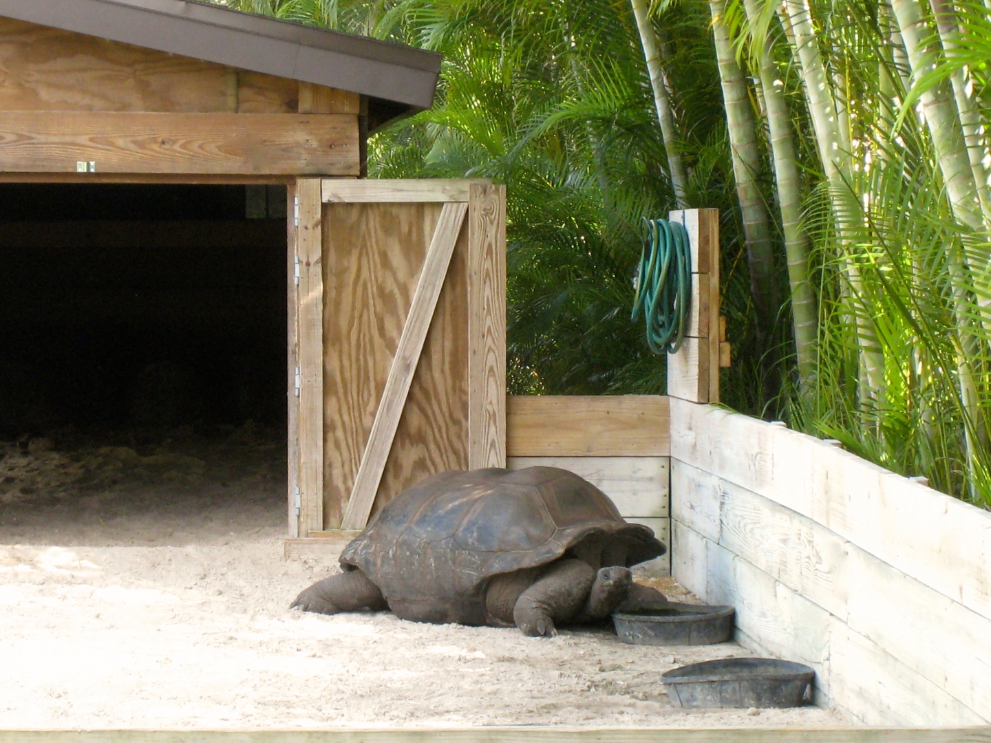 Aldabra Breeders