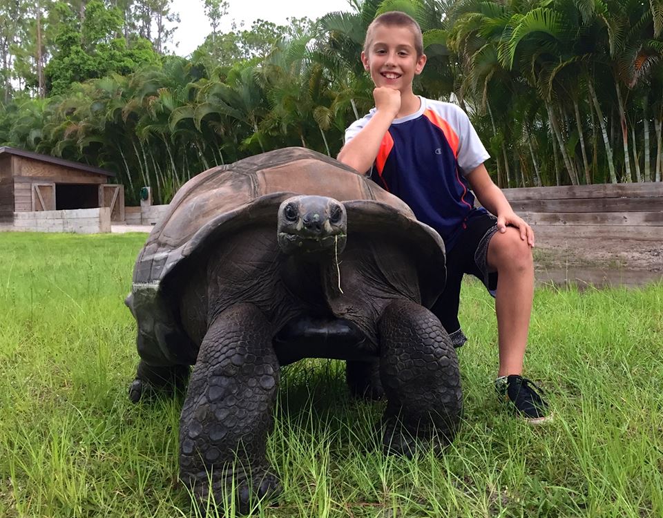 Aldabra Breeders