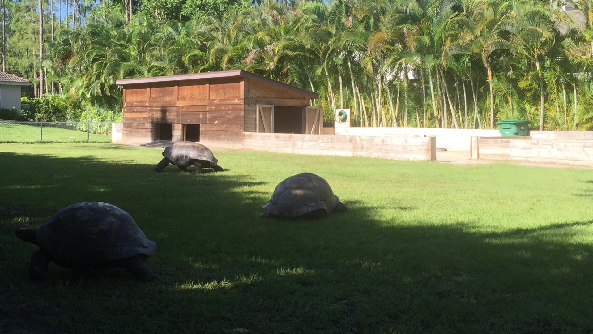 Aldabra Breeders