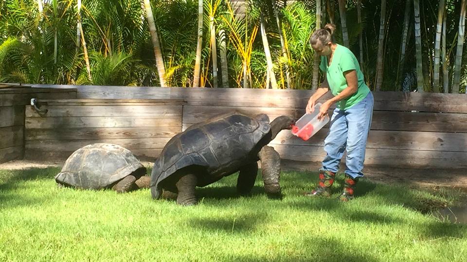 Aldabra Breeders