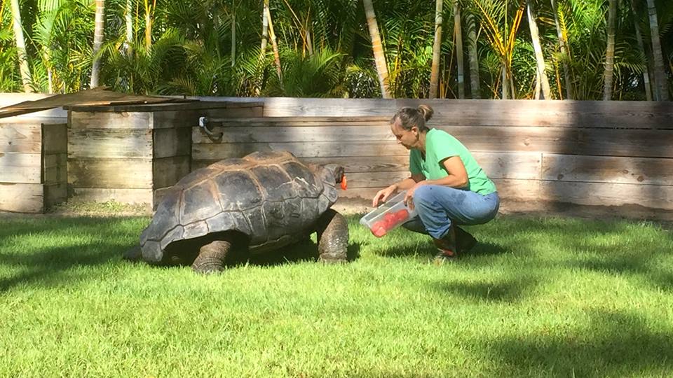 Aldabra Breeders