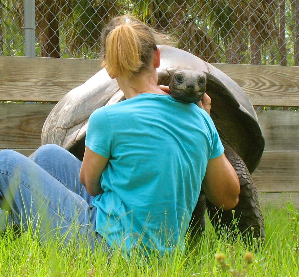 Aldabra Breeders