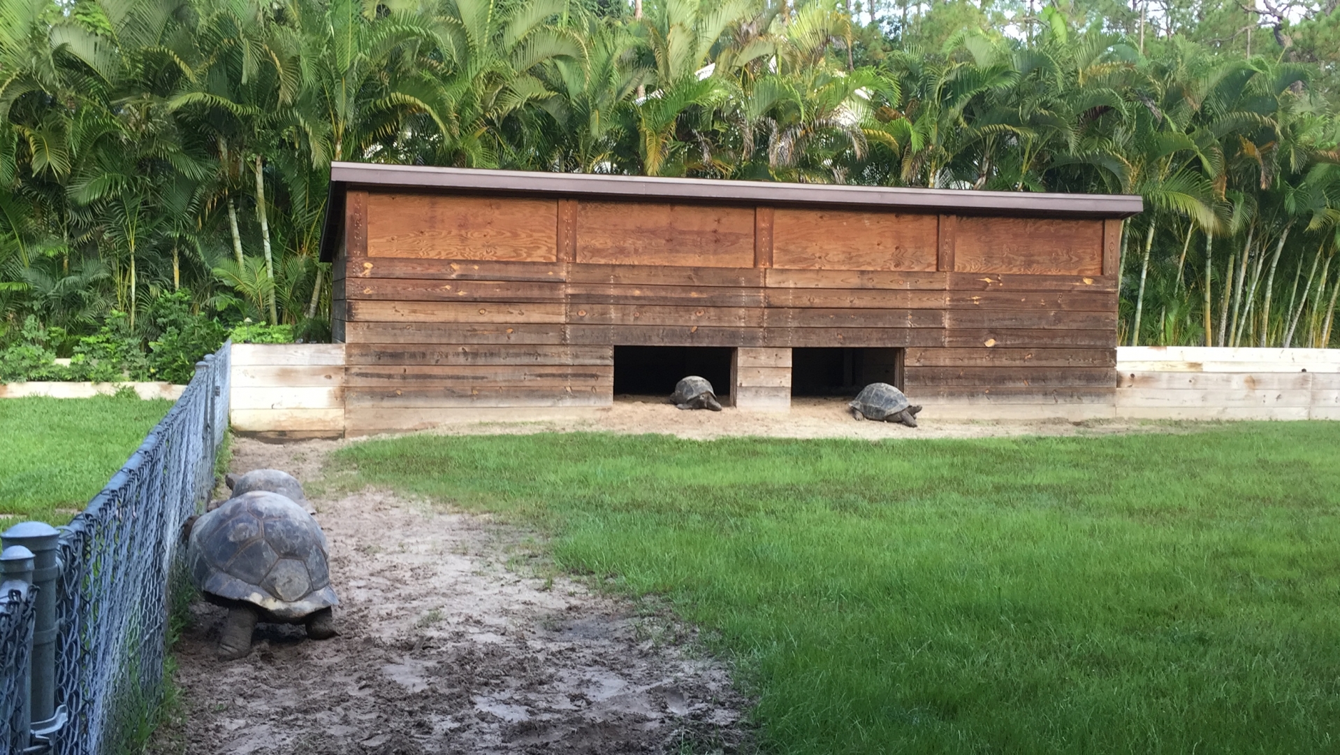 Aldabra Breeders