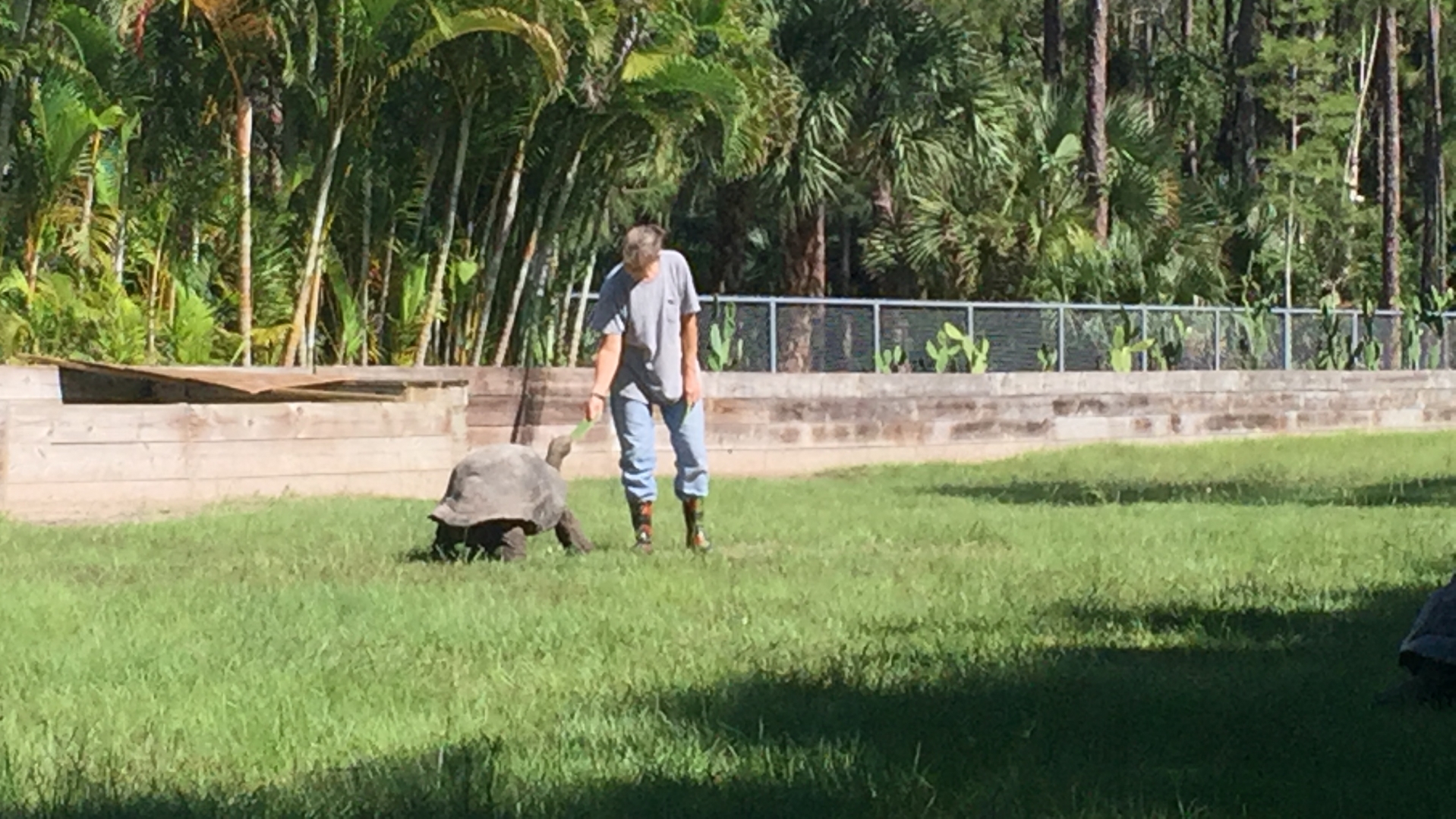 Aldabra Breeders
