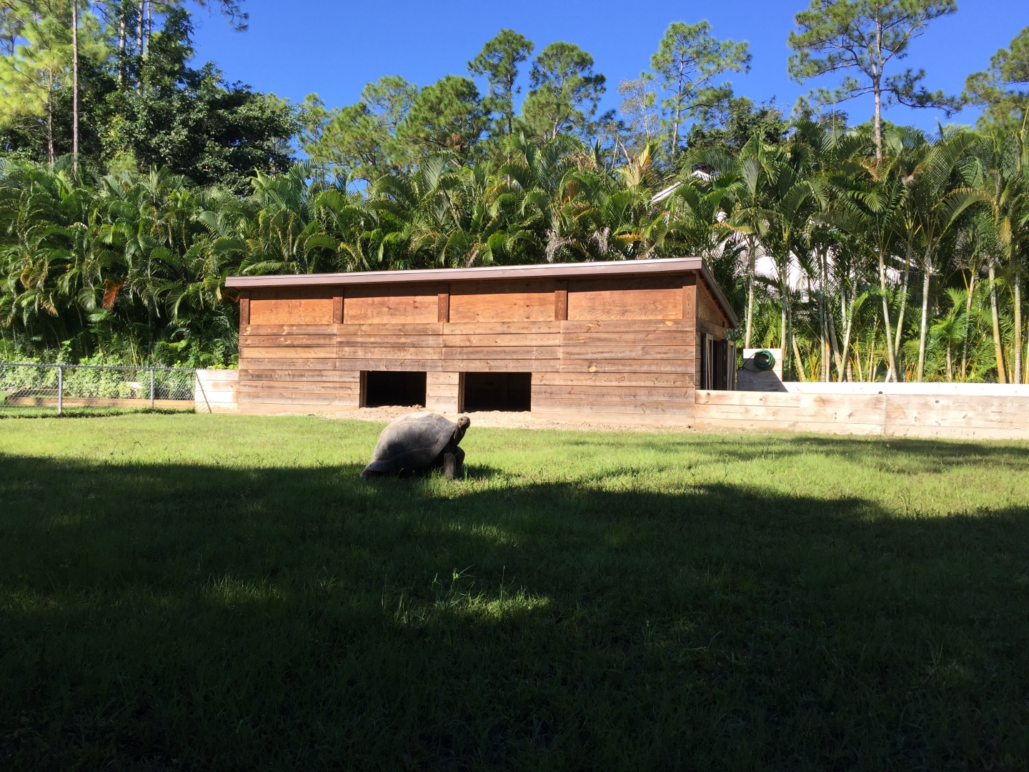Aldabra Breeders