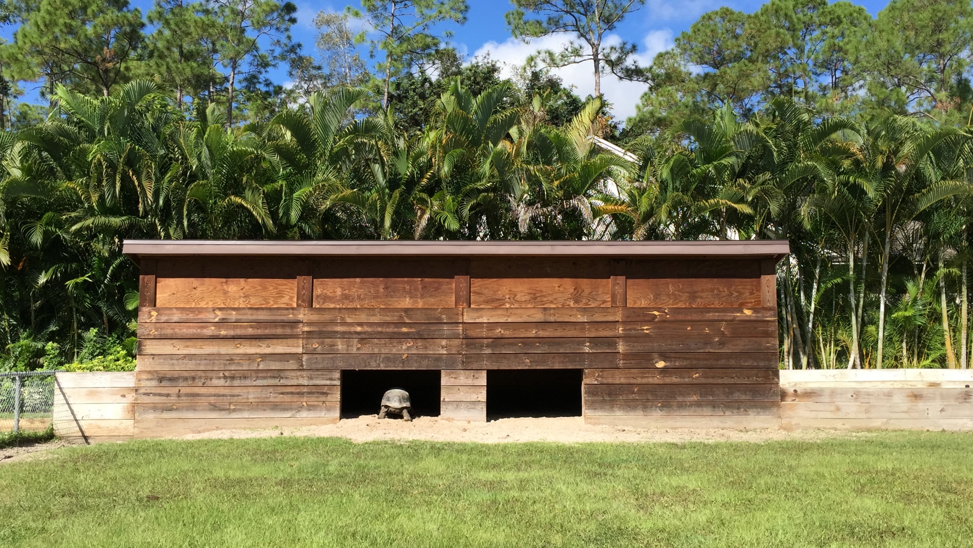 Aldabra Breeders