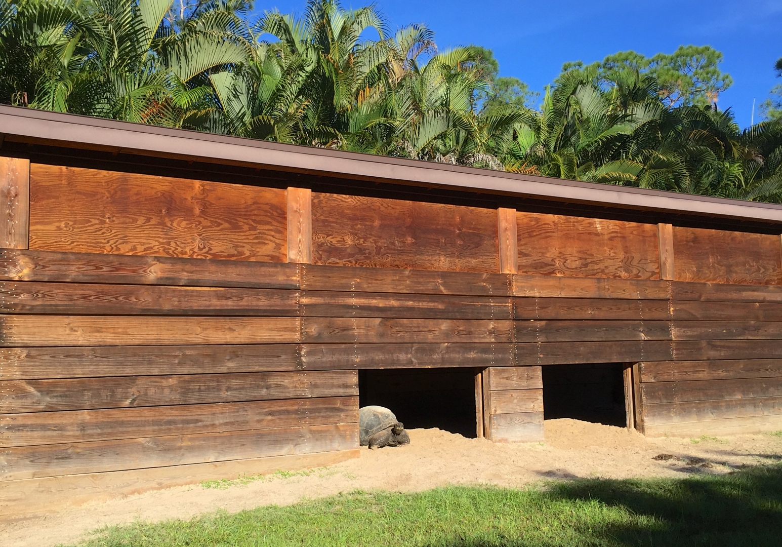 Aldabra Breeders