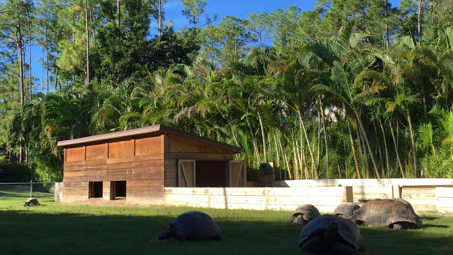 Aldabra Breeders