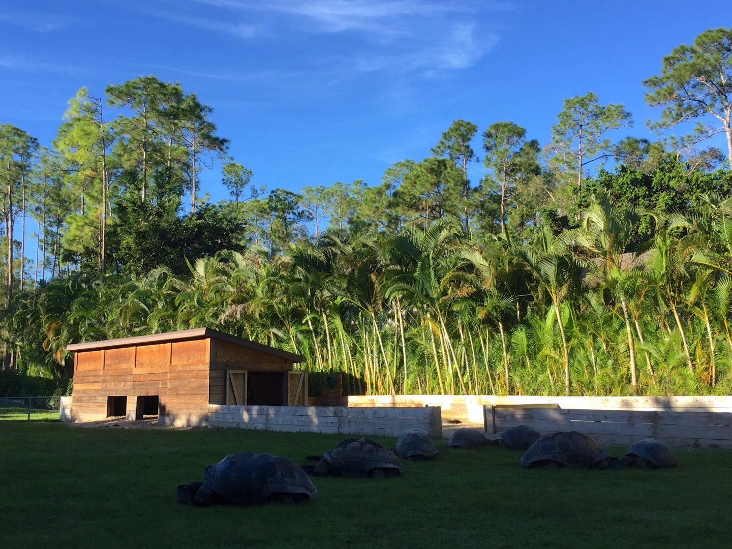 Aldabra Breeders