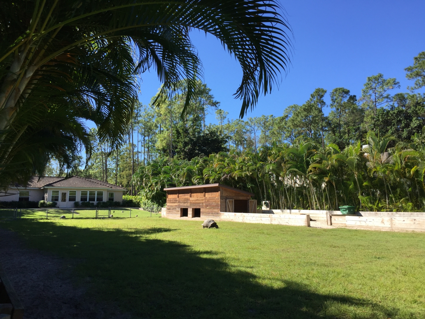 Aldabra Breeders