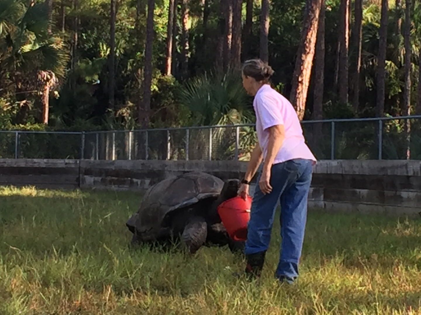 Aldabra Breeders