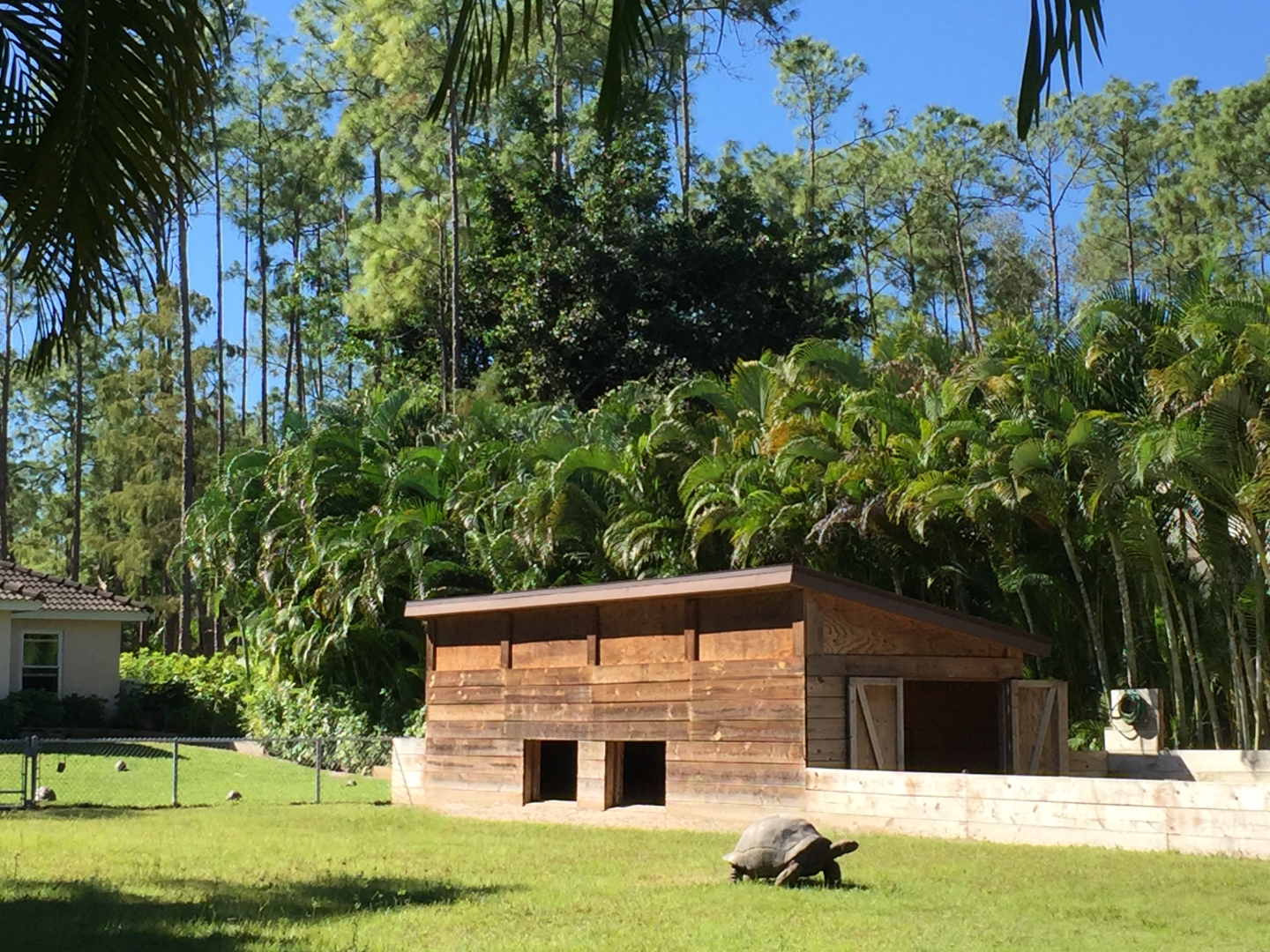 Aldabra Breeders