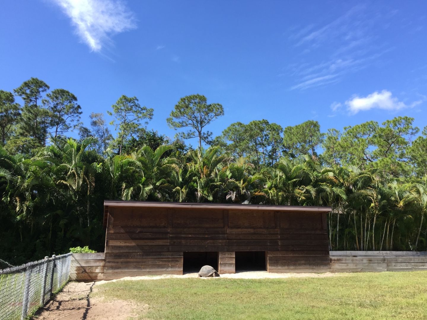 Aldabra Breeders