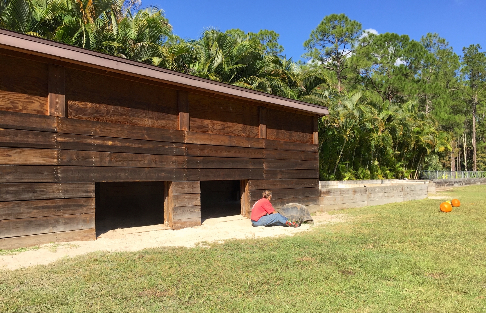 Aldabra Breeders
