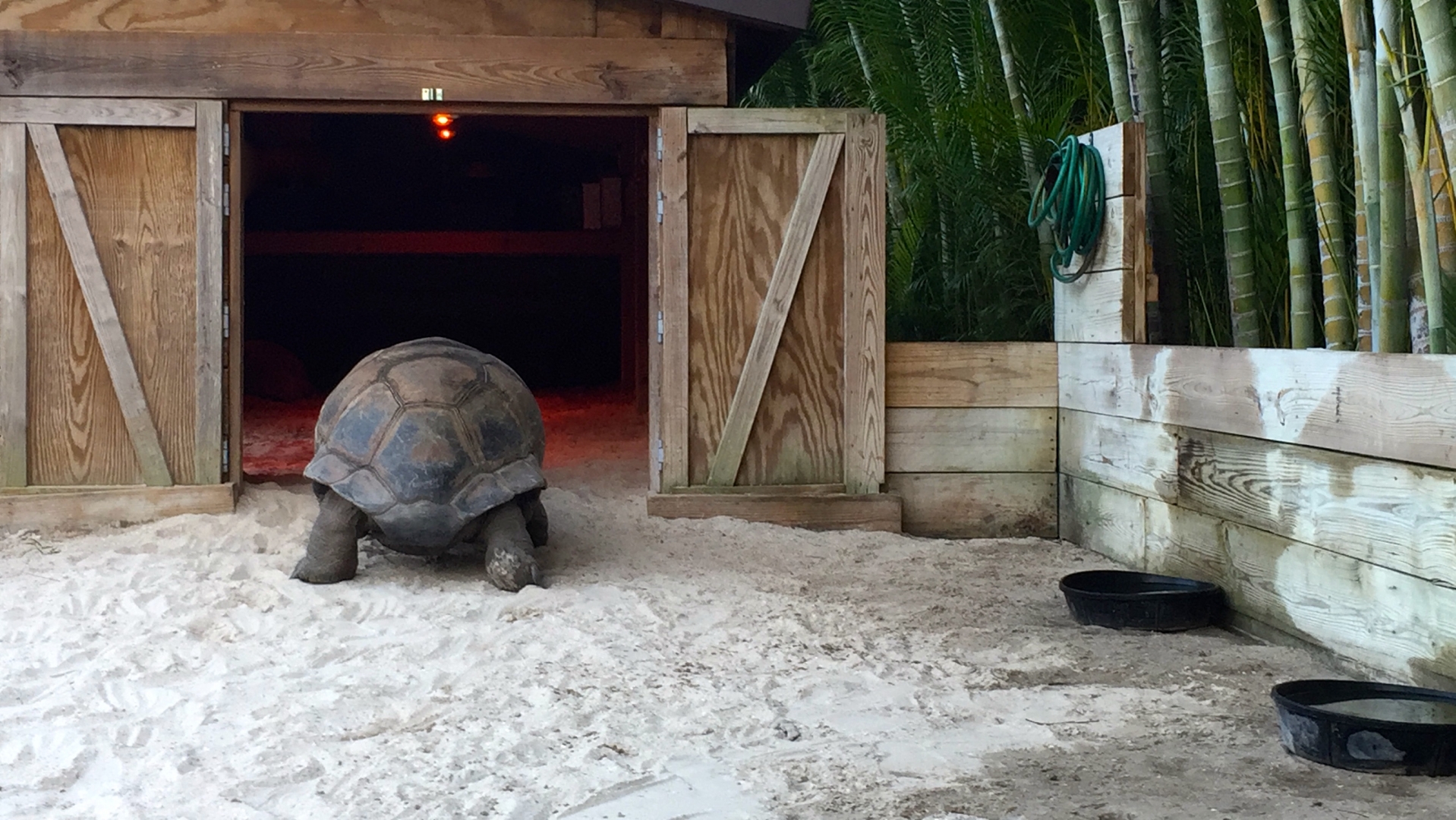 Aldabra Breeders
