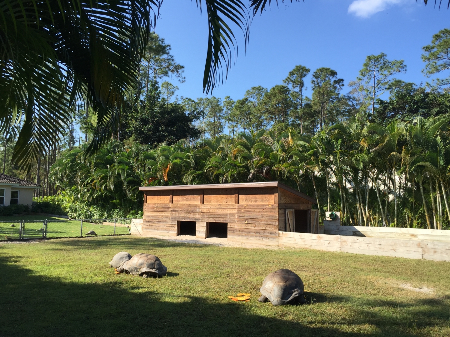 Aldabra Breeders