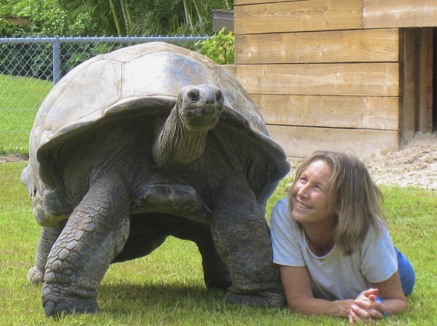 Aldabra Breeders
