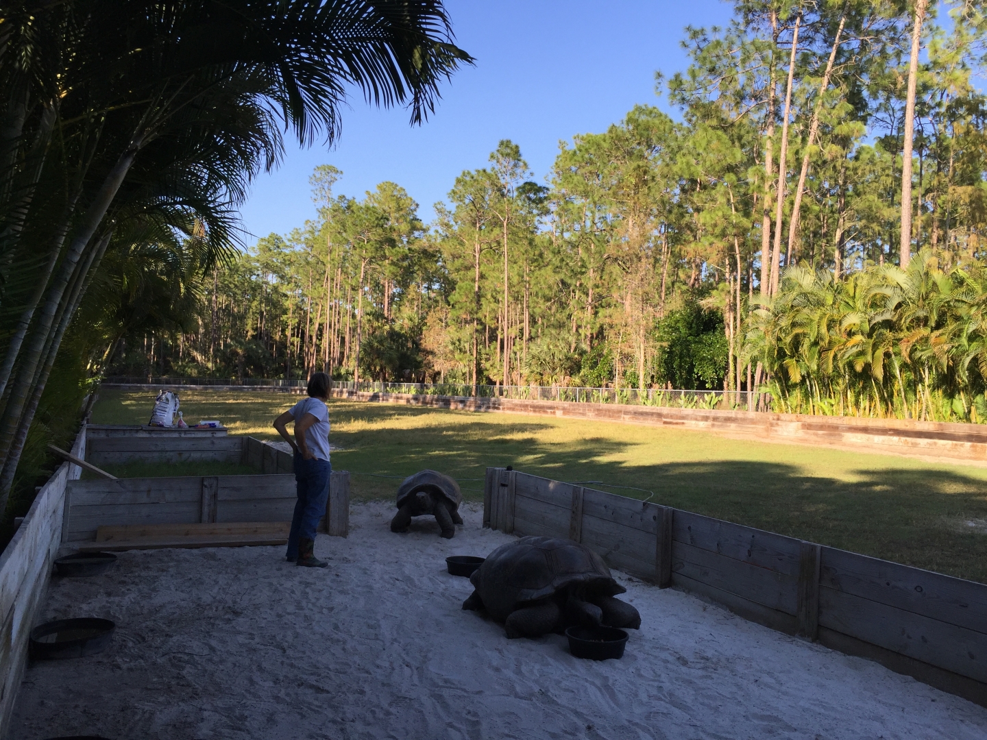 Aldabra Breeders
