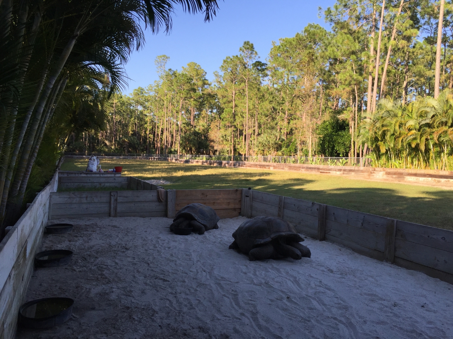 Aldabra Breeders