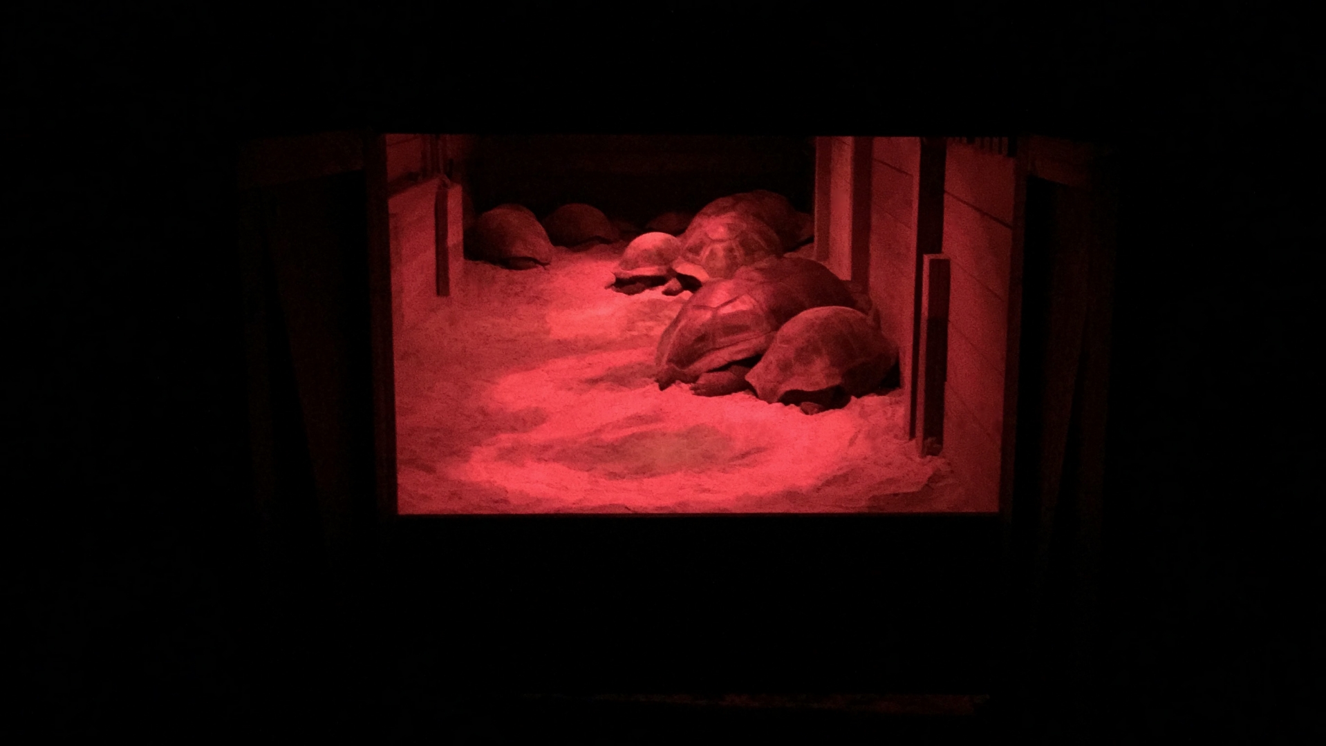 Aldabra Breeders