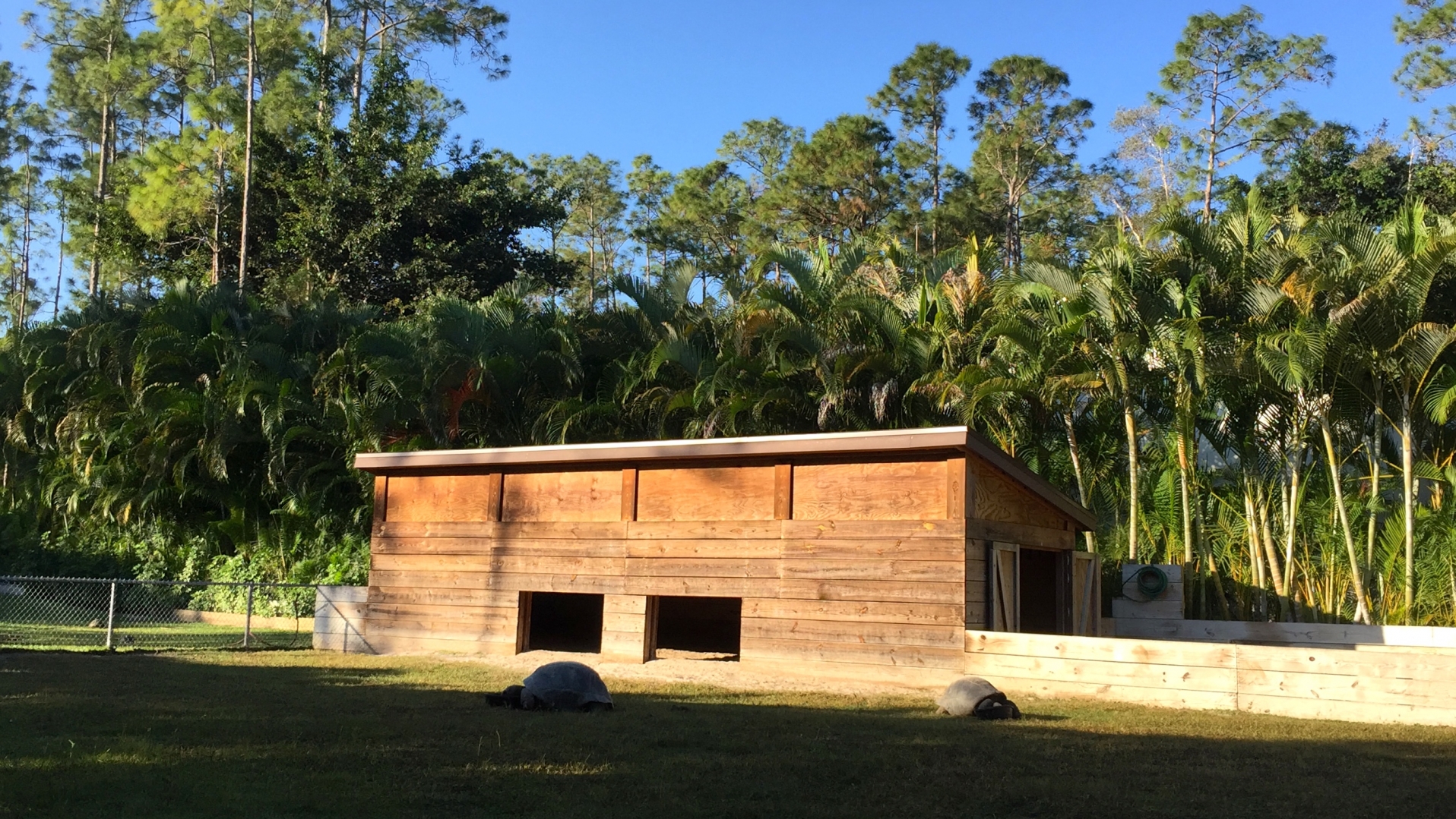 Aldabra Breeders