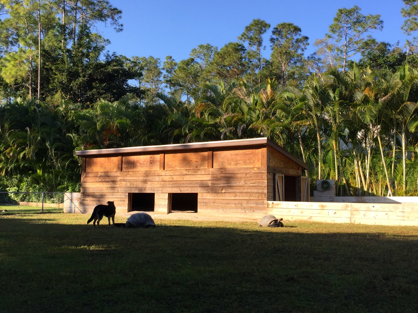 Aldabra Breeders