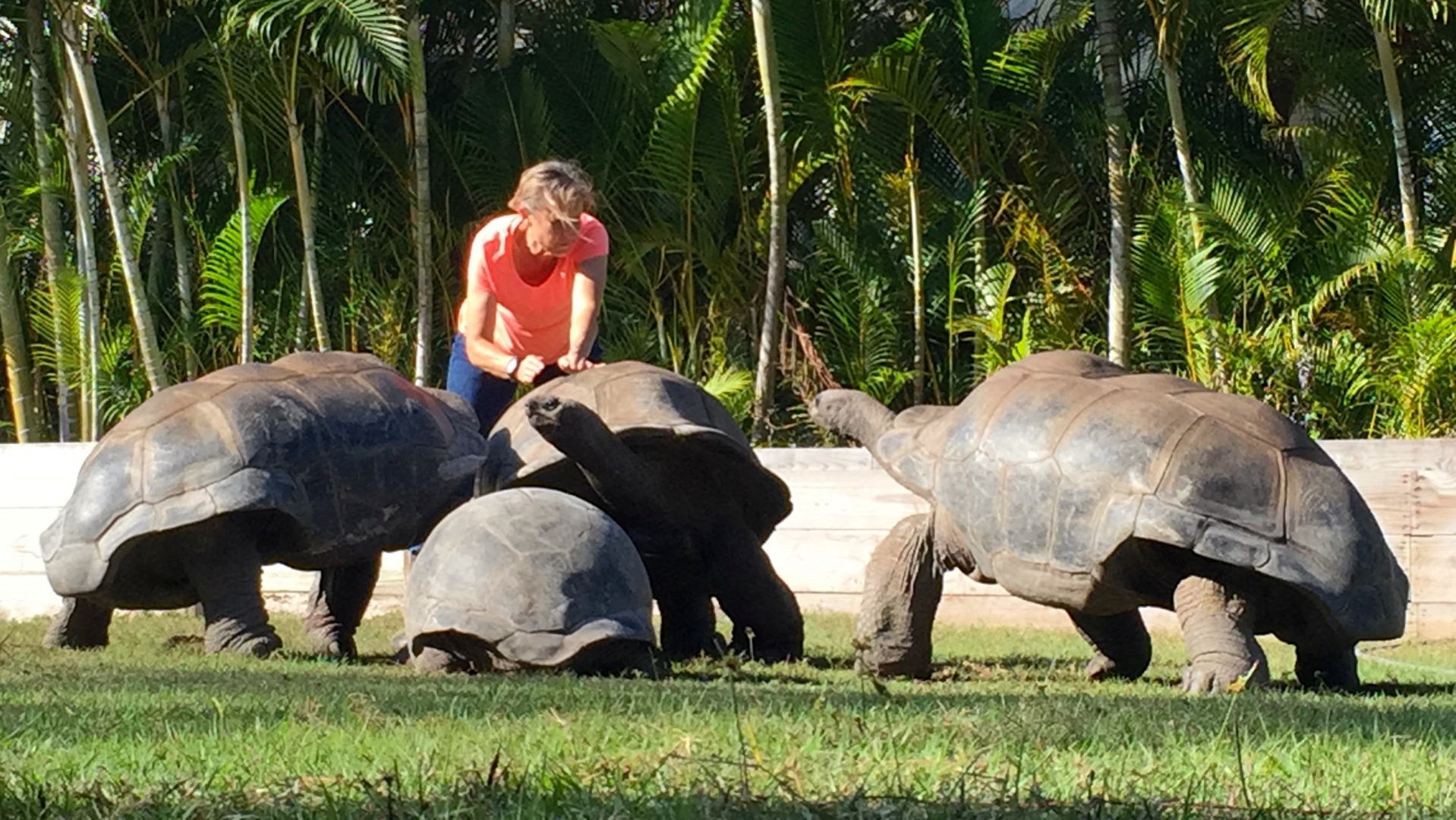 Aldabra Breeders