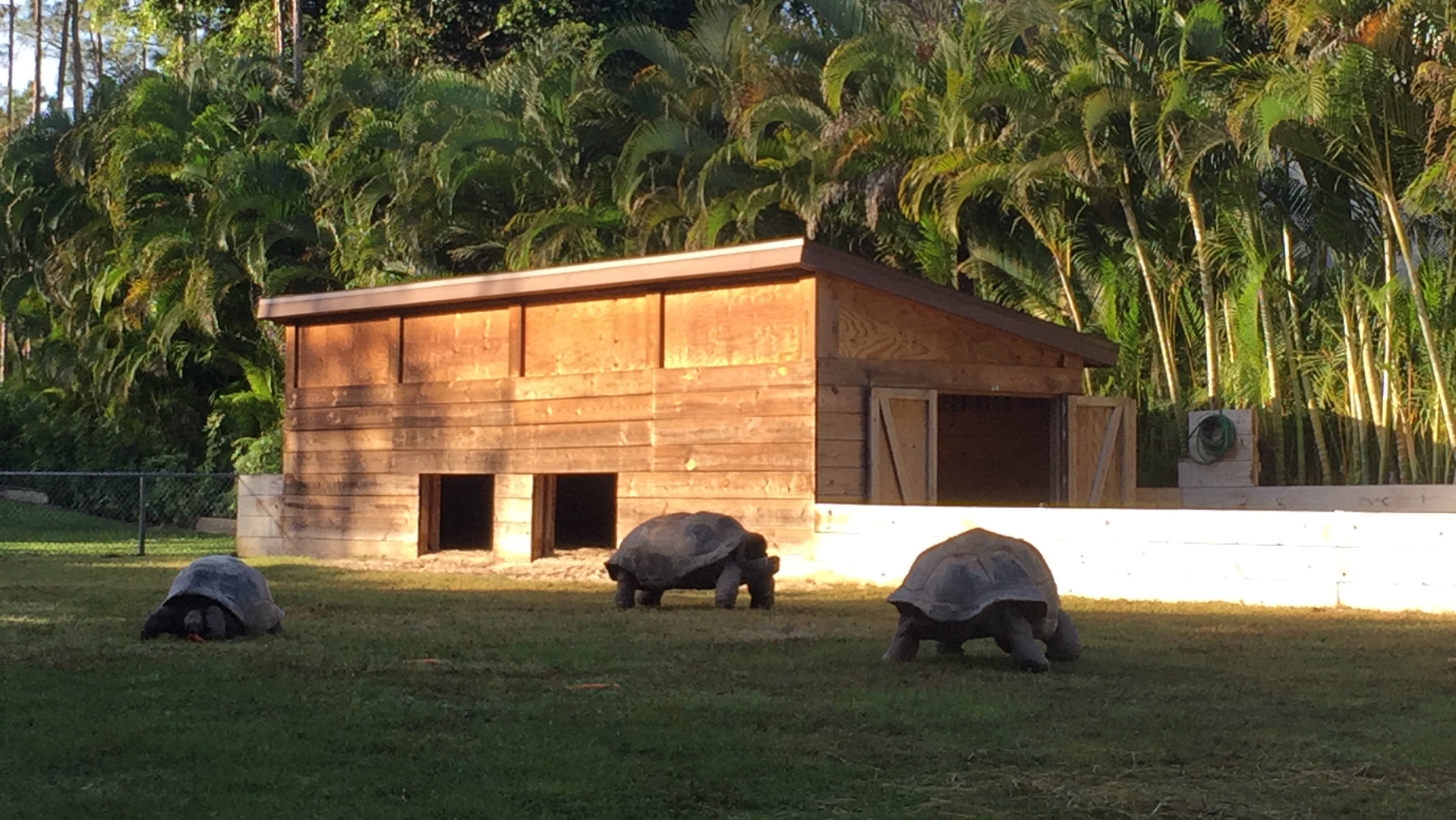 Aldabra Breeders