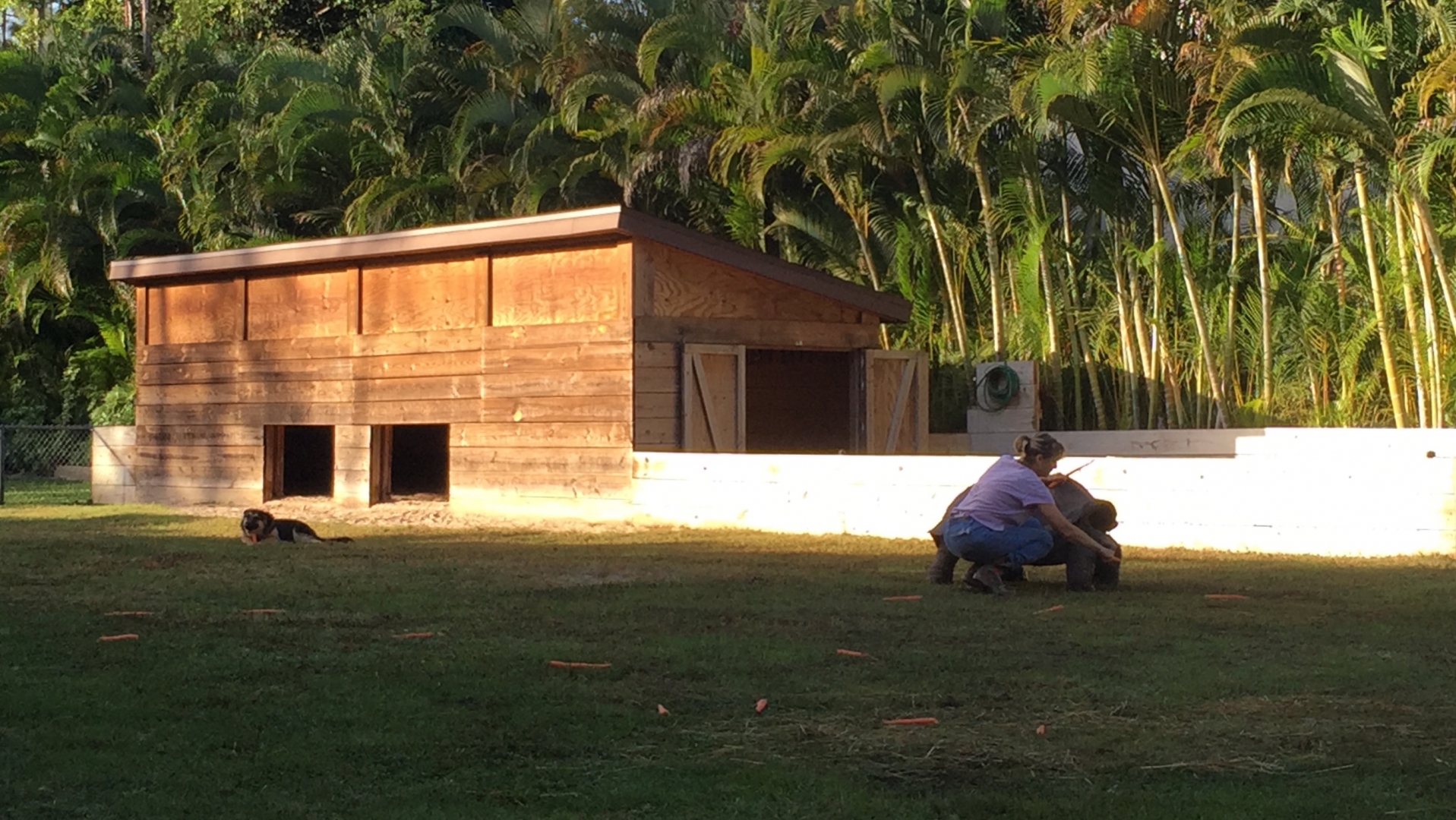 Aldabra Breeders