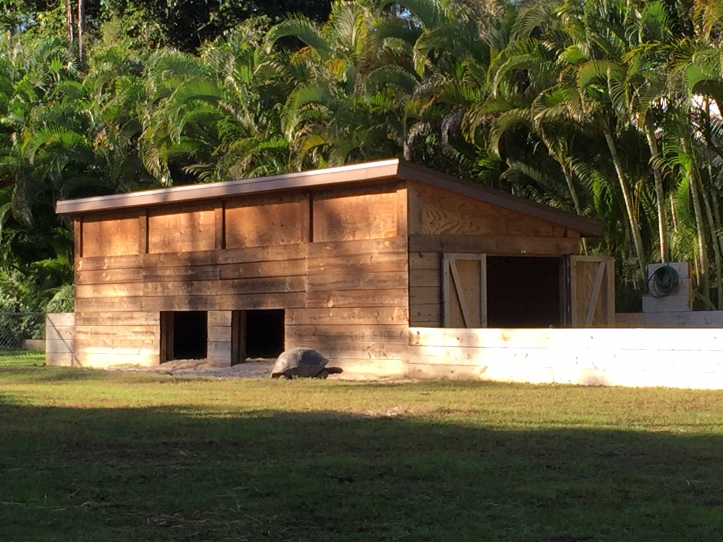 Aldabra Breeders
