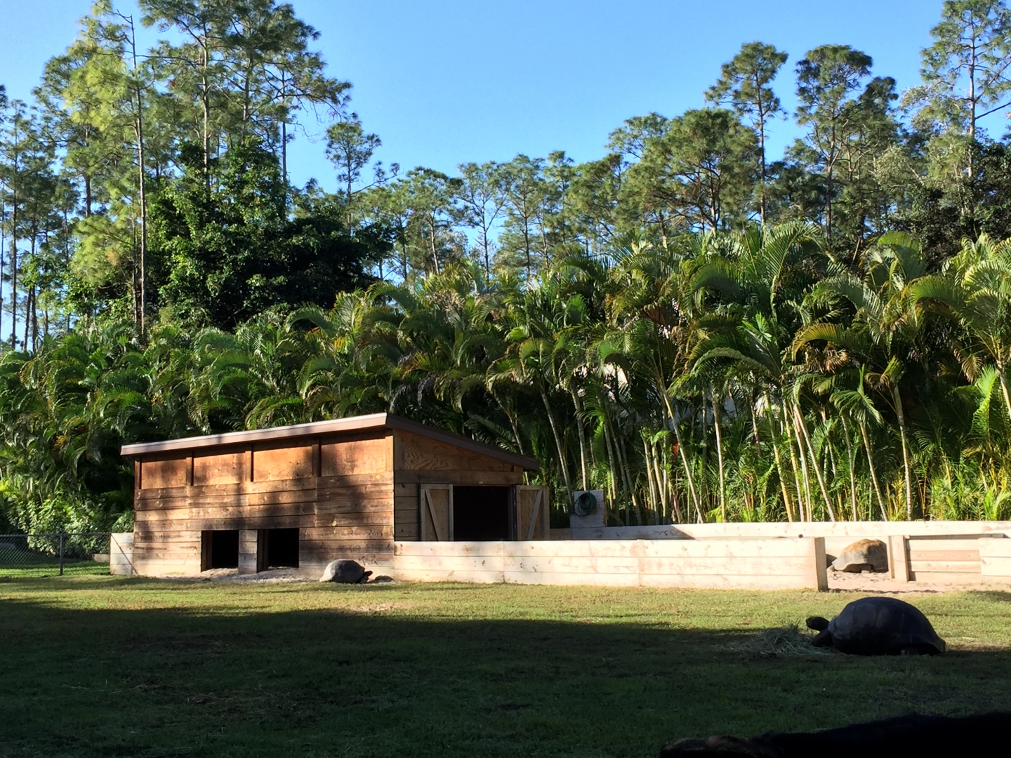 Aldabra Breeders