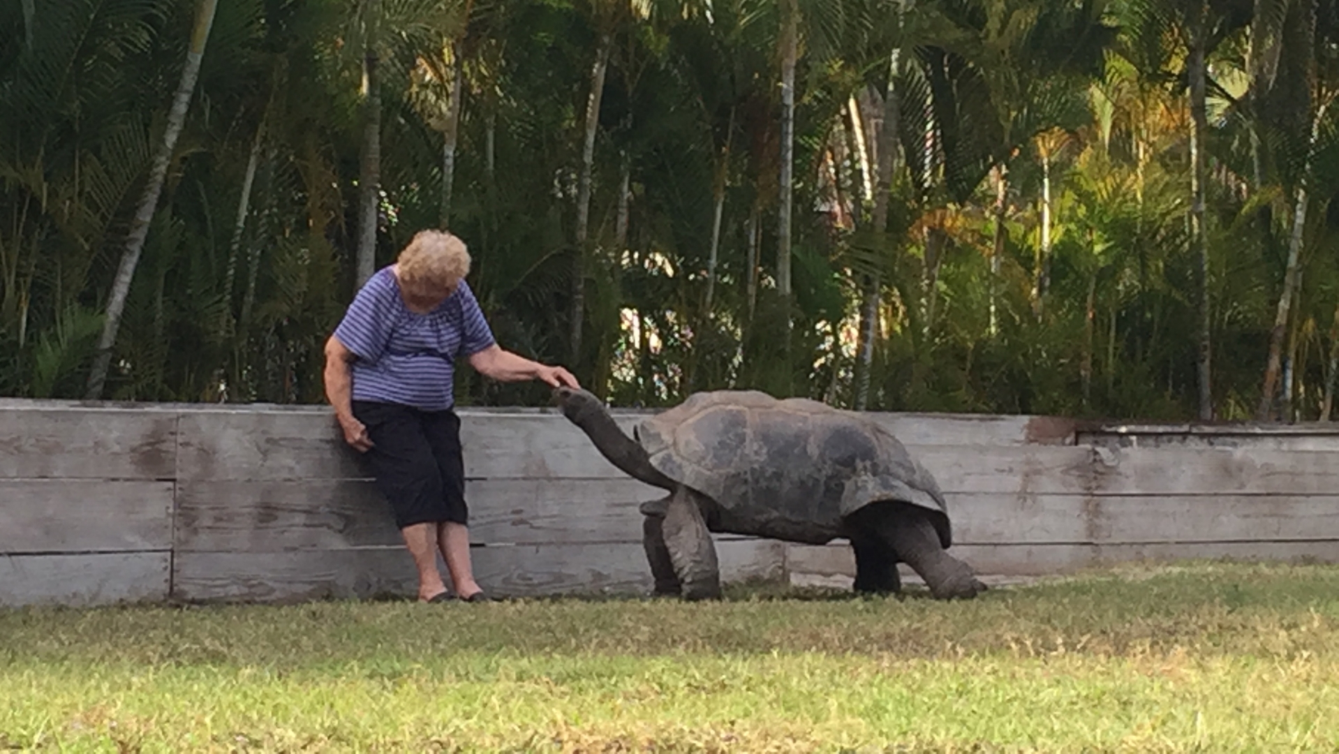 Aldabra Breeders