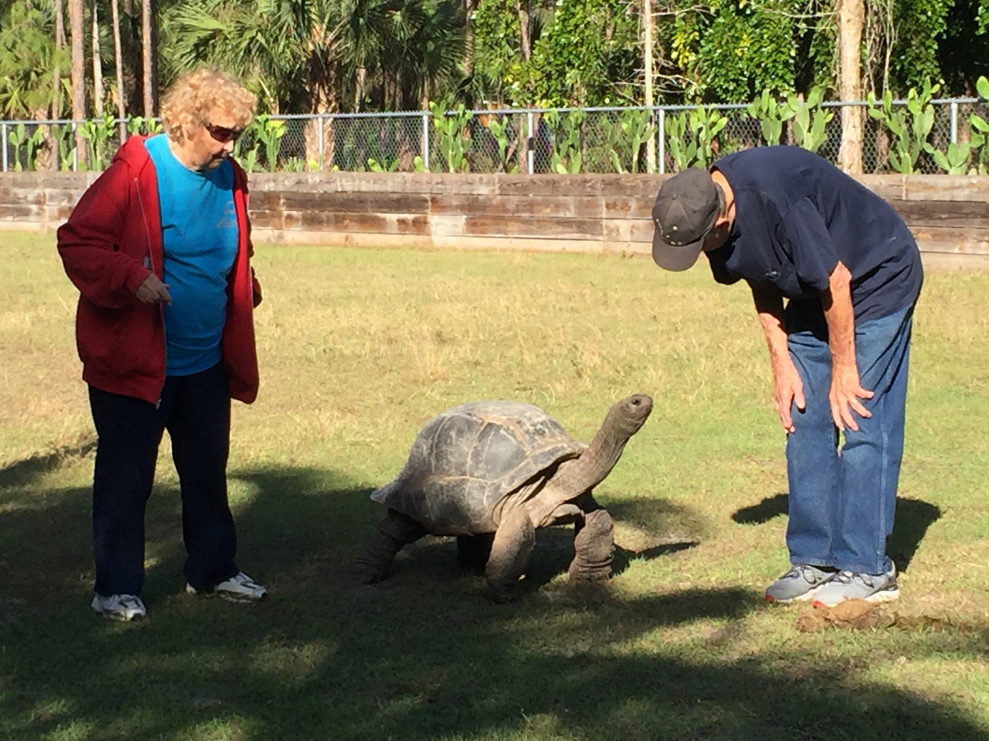Aldabra Breeders
