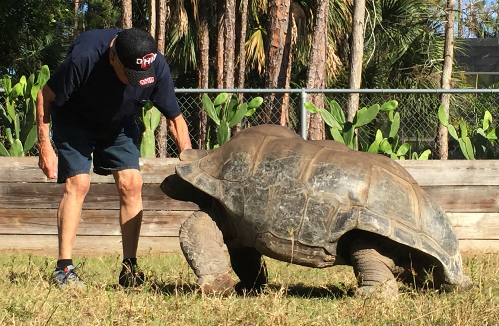Aldabra Breeders