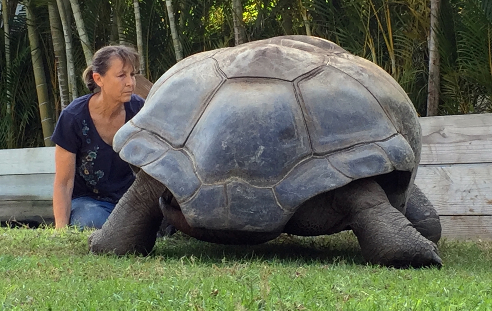 Aldabra Breeders