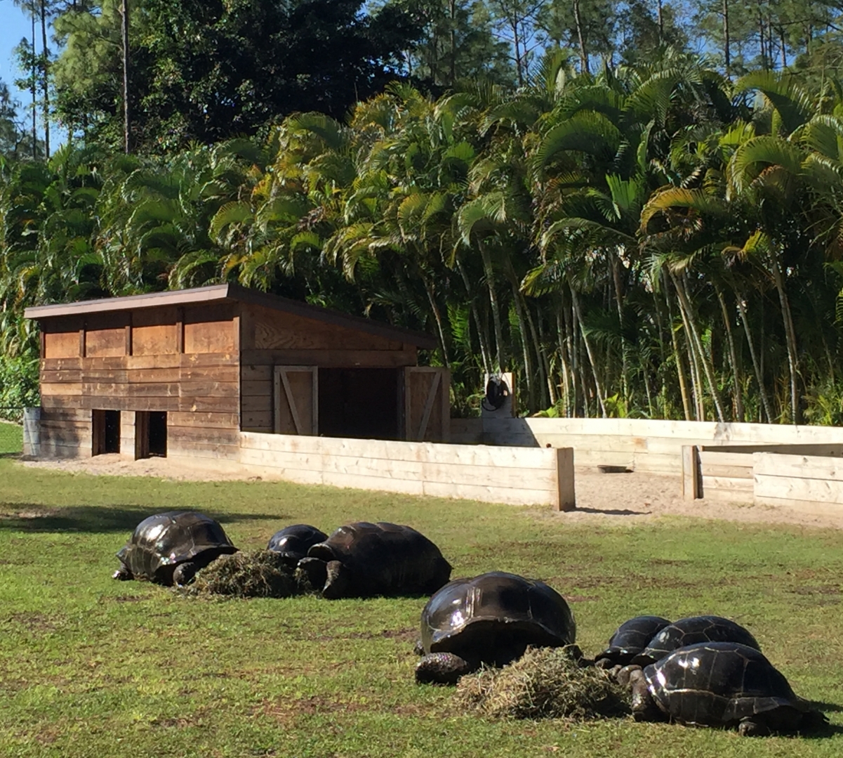 Aldabra Breeders