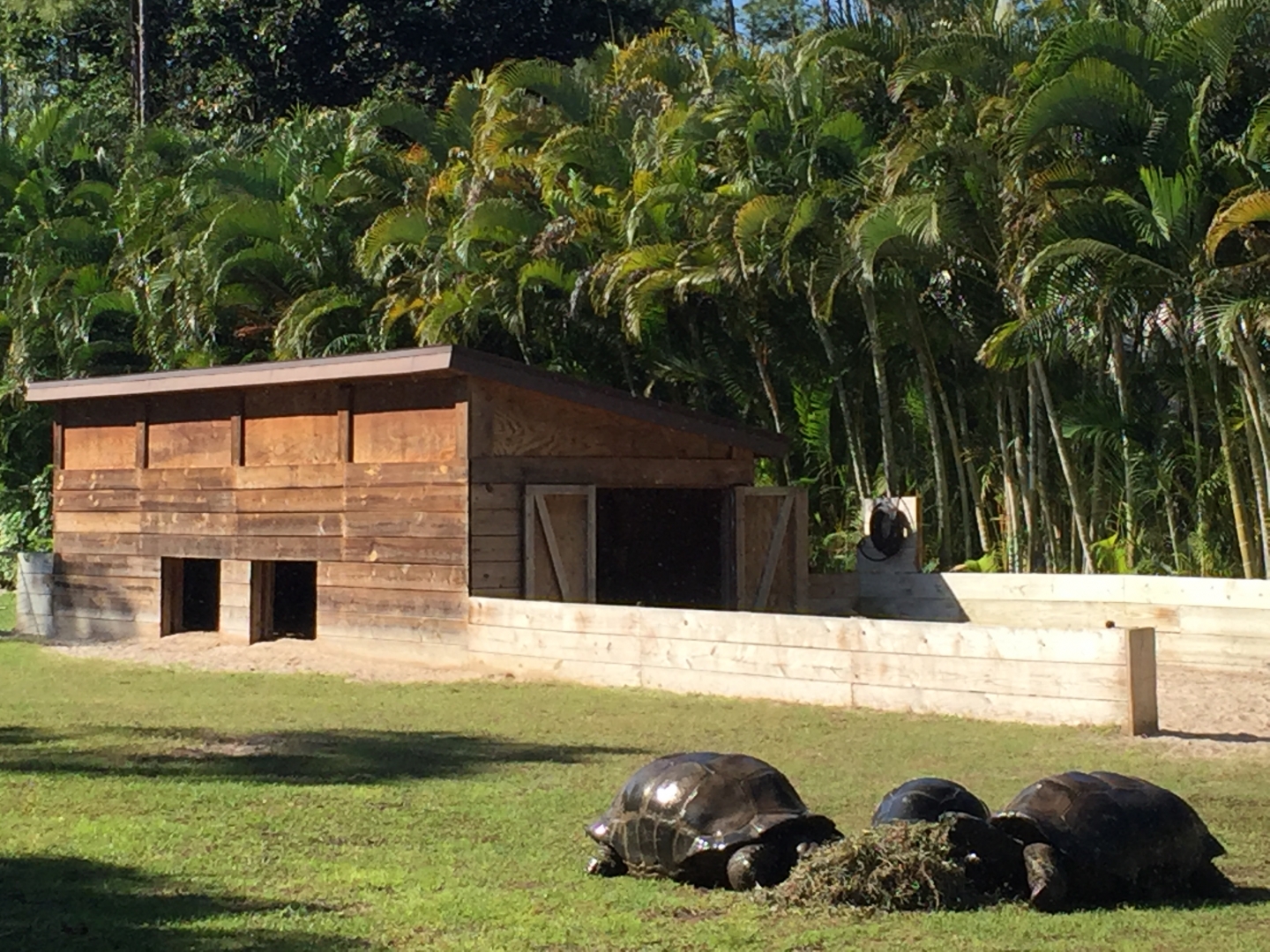 Aldabra Breeders
