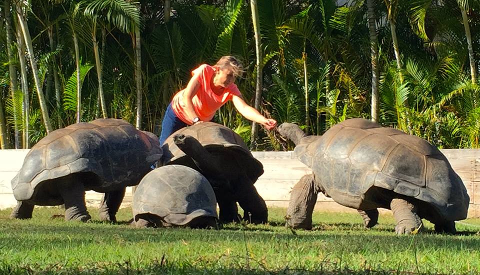 Aldabra Breeders