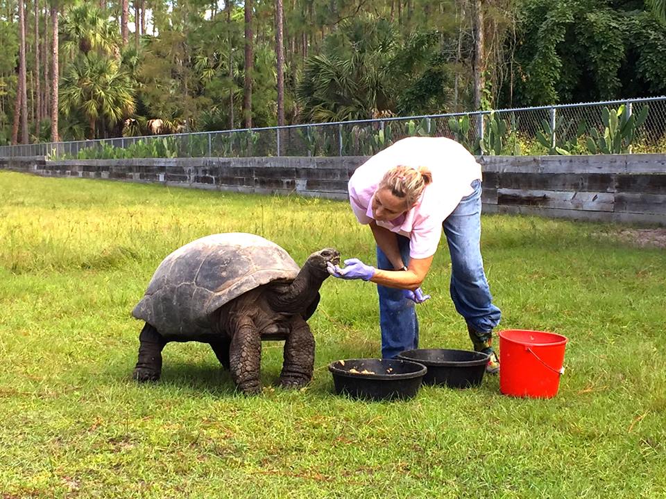 Aldabra Breeders