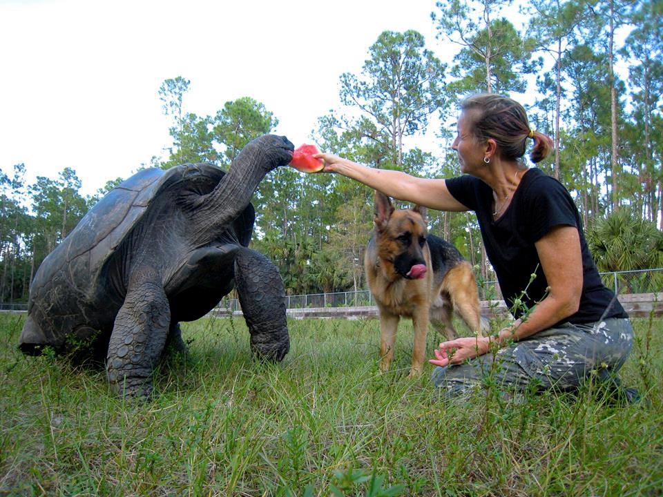 Aldabra Breeders