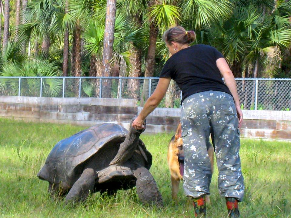 Aldabra Breeders
