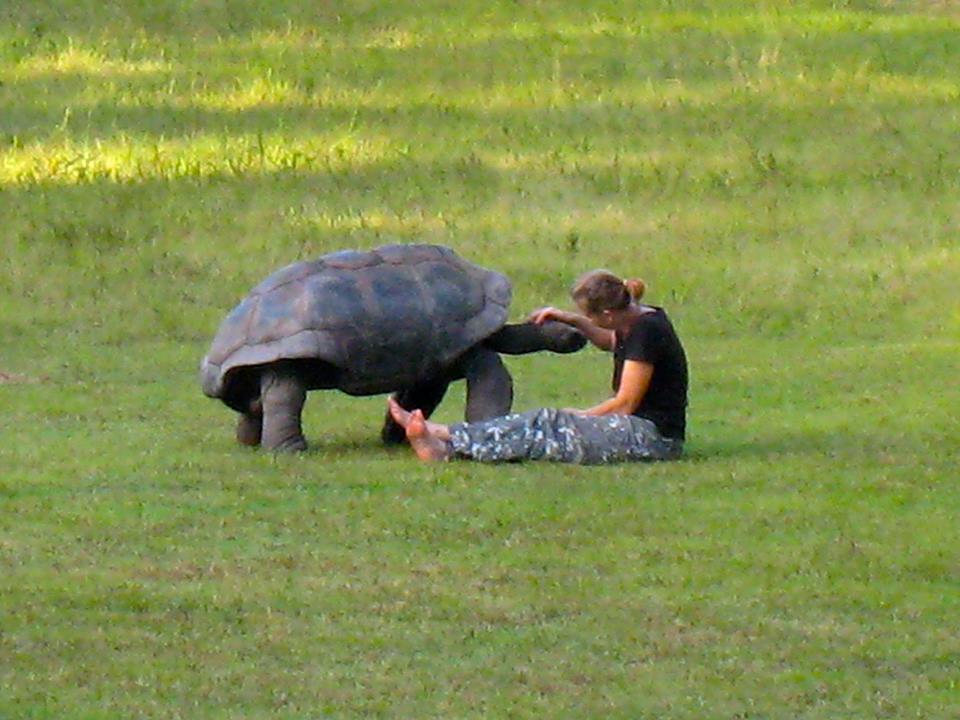 Aldabra Breeders