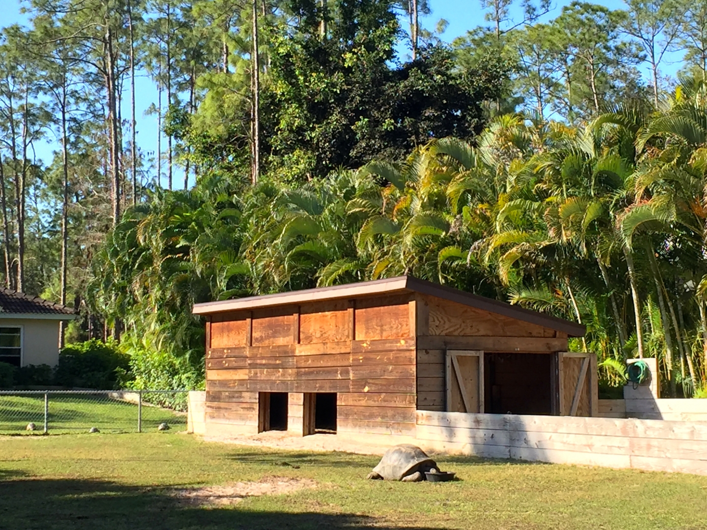 Aldabra Breeders