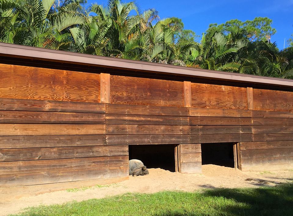 Aldabra Breeders