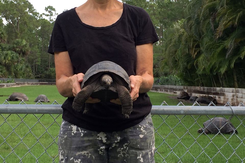 Aldabra Breeders