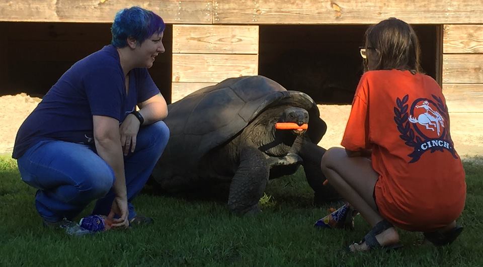 Aldabra Breeders